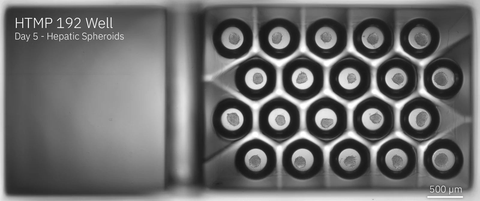 HTMP 192 solution workflow image